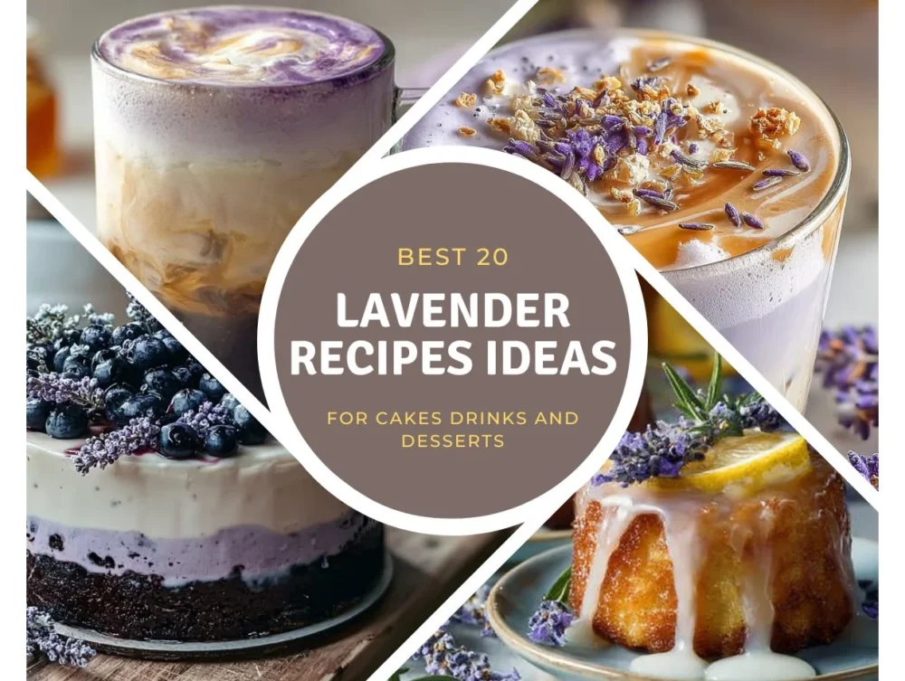 A collection of lavender recipes for desserts and drinks